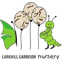 TNB Larkhill Early Years logo